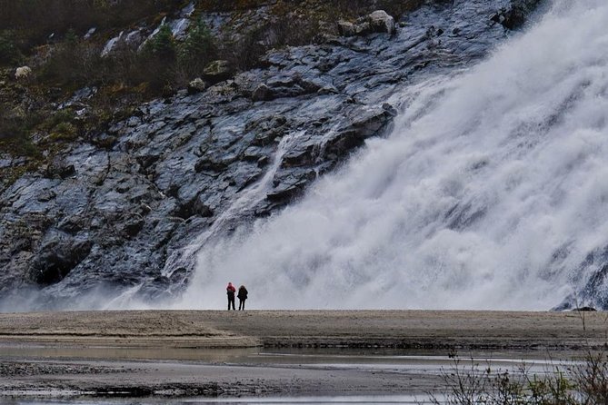 Mendenhall Glacier Trolley Tour - Price and Value for a Short Juneau Stop