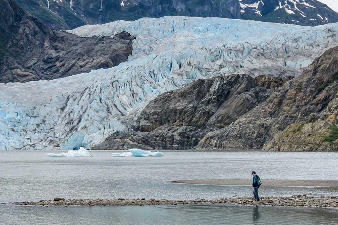 Mendenhall Glacier Visitor Center and Ultimate Whale Watch Combo - When it goes wrong, what you can do