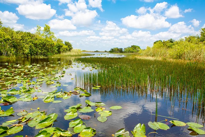 Miami and Everglades Adventure: Airboat & Bay Cruise Combo - Wildlife Exhibits and the Alligator Show: Worth It, With Timing Tricks