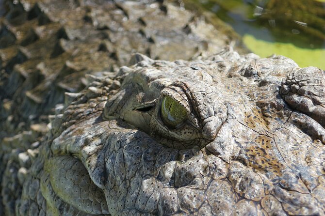 Miami and Everglades Adventure: Airboat & Bay Cruise Combo - Price and Value Check: Is $95 Fair for This Miami Combo?