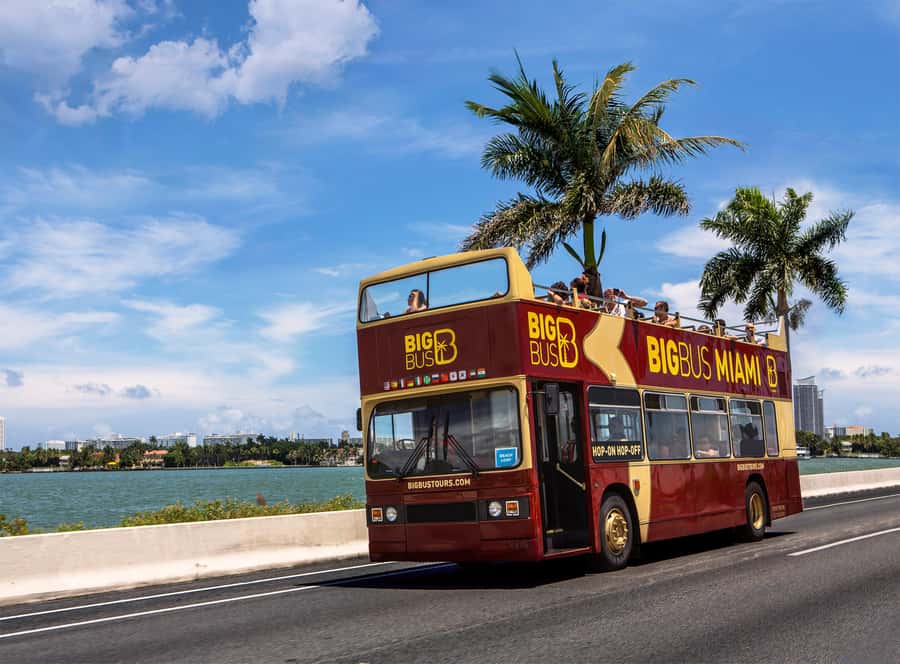 Miami: Everglades Experience, Bay Cruise & Open-Top Bus Tour - The Big Bus Open-Top City Loop: Wynwood, Little Havana, Art Deco