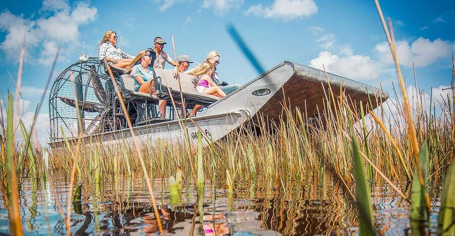 Miami: Everglades National Park Airboat Tour & Wildlife Show - Key highlights you should care about