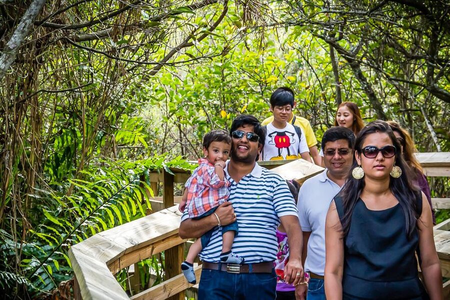 Miami: Everglades Safari Park Airboat Tour - Key highlights worth your attention