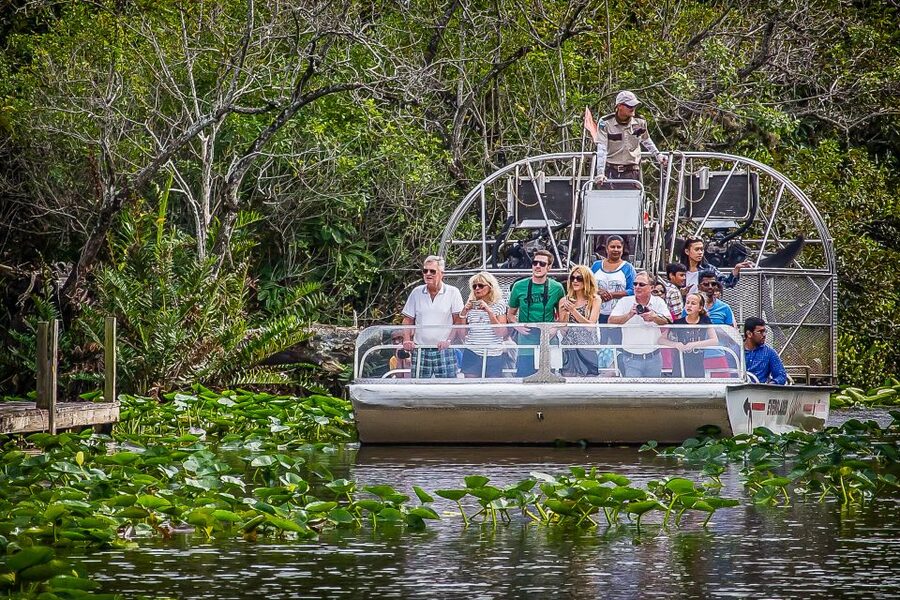 Miami: Everglades Safari Park Airboat Tour - The Wildlife Nature Show, where the learning lands after the boat