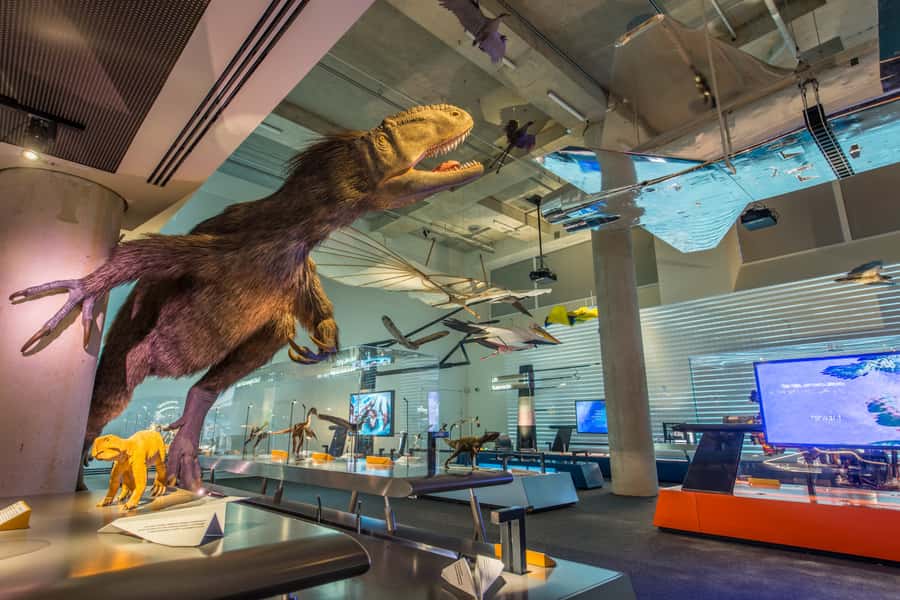 Miami: Frost Museum of Science and Planetarium Entry Ticket - Key highlights that make this ticket worth it