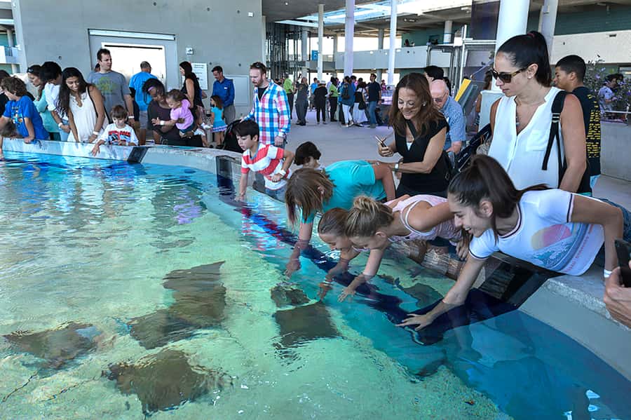 Miami: Frost Museum of Science and Planetarium Entry Ticket - Aviation inventors and a Mars landing story you can actually follow