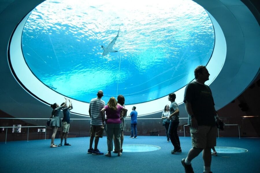 Miami: Frost Museum of Science and Planetarium Entry Ticket - How long you should set aside (and how to avoid time pressure)