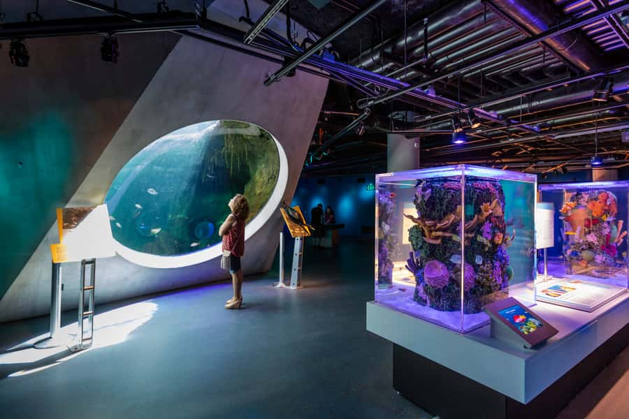 Miami: Frost Museum of Science and Planetarium Entry Ticket - Where your visit fits best: families, rainy days, and science lovers