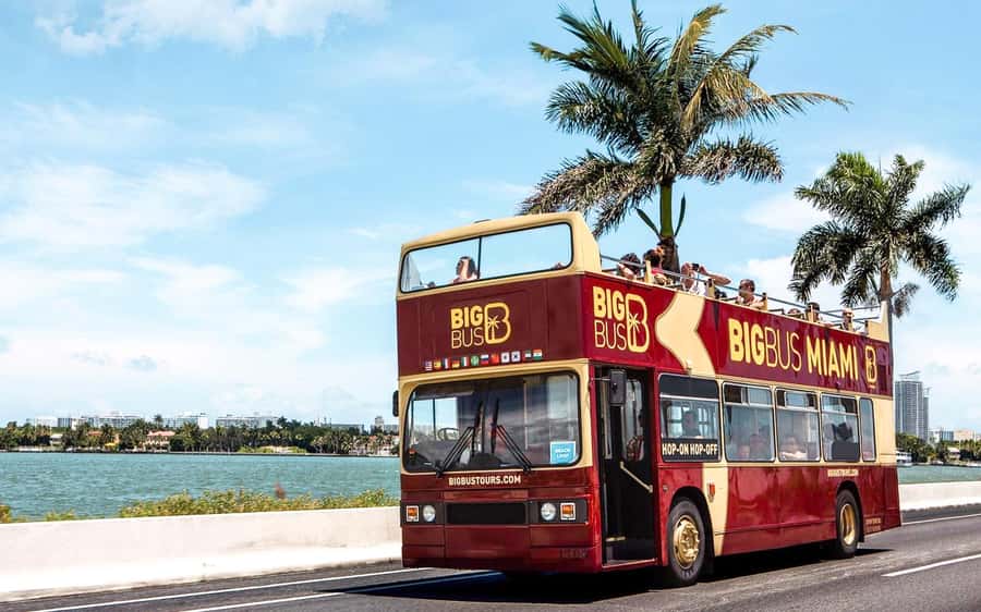 Miami: Hop-on Hop-off Open-top Bus Tour and Optional Cruise - How the 48-hour bus pass actually helps in Miami