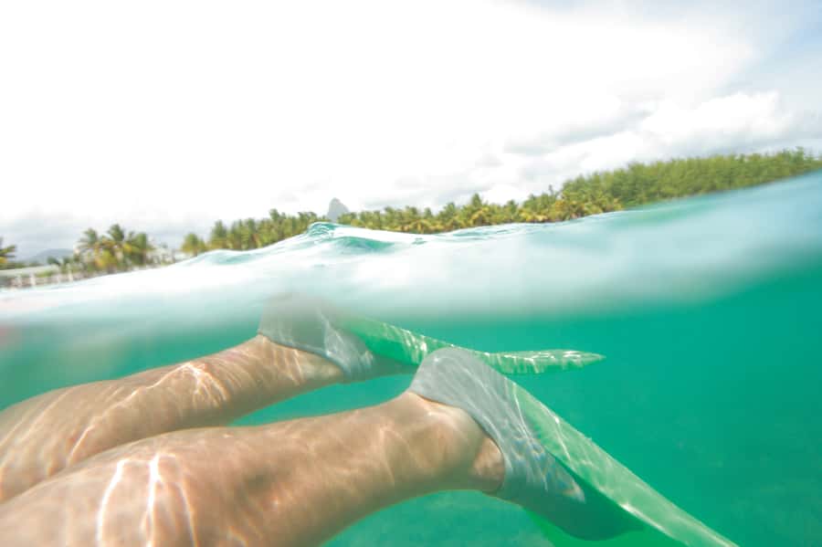 Miami: Key West Dolphin Watch or Snorkel Boat with pickup - Snorkel for 3 Hours: Clear-Water Fish Time Without a Big Setup