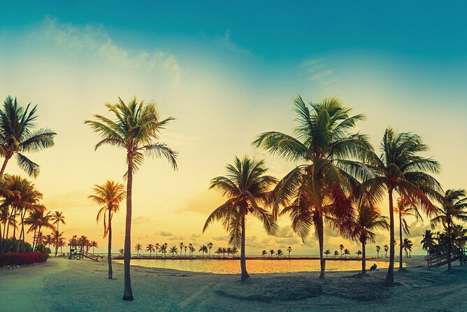 Miami: Open-top Bus Sightseeing Night Tour with Live Guide - Entering The Bus Zone: Bayside, 8pm, and the Big Picture