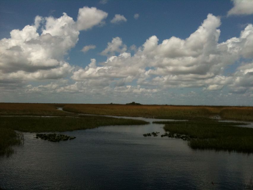 Miami: Original Everglades Airboat Tour & Interpretive area - Hardwood hammocks and alligator holes: the guided stops you want