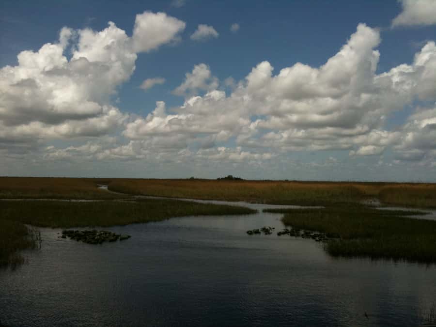 Miami: Original Everglades Airboat Tour & Interpretive area - Interpretive area: exhibits and a wildlife show that actually teach