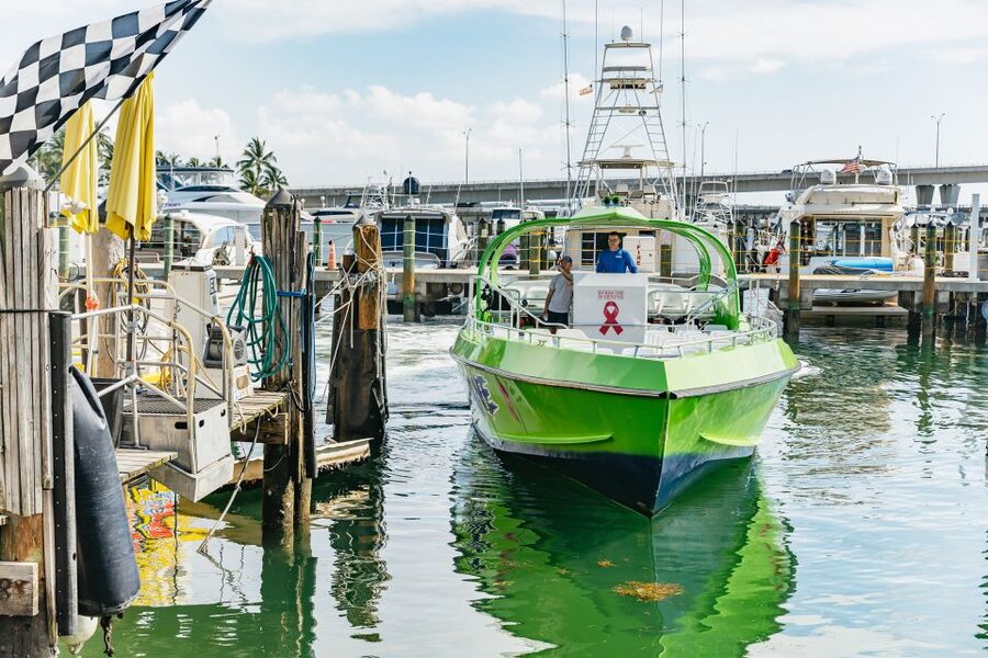 Miami: Sightseeing Speedboat Tour - South Beach and the Art Deco District: Views That Feel Like a Movie