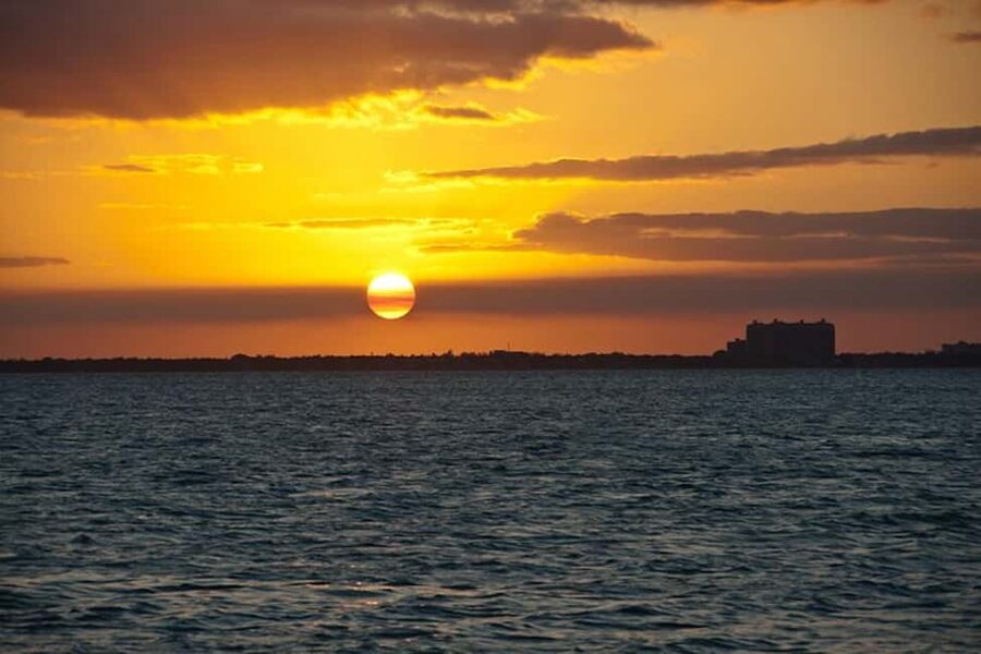 Miami Skyline Sightseeing Cruise and Millionaire Mansions - Key highlights before you go
