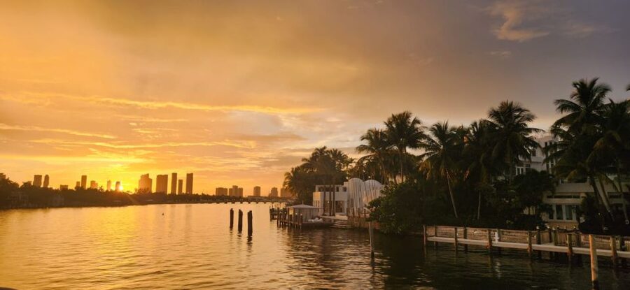 Miami Skyline Sightseeing Cruise and Millionaire Mansions - Meeting up and getting seated without stress