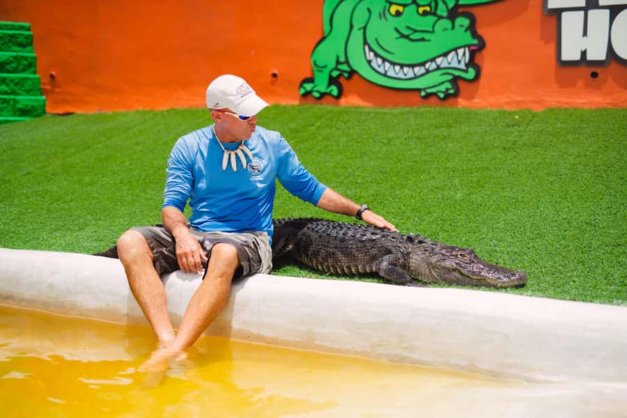 Miami: Wild Everglades Airboat Ride and Gator Encounters - The air-conditioned bus ride: comfort on the way to the swamp