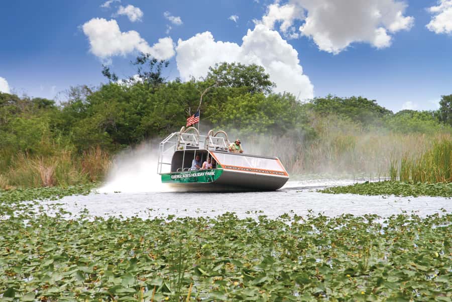 Miami: Wild Everglades Airboat Ride and Gator Encounters - Alligator presentation and the rescued gator show: learning plus a little controversy