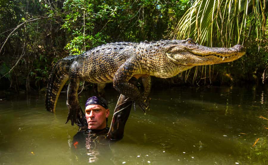 Miami: Wild Everglades Airboat Ride and Gator Encounters - Who this Everglades airboat trip is best for