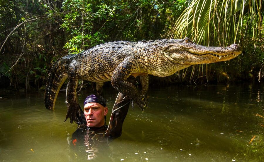 Miami: Wild Everglades Airboat Ride and Gator Encounters - FAQ
