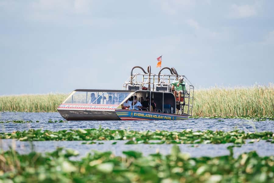 Miami: Wild Everglades Airboat Ride and Gator Encounters - One hour on an Everglades airboat: what you’ll actually see