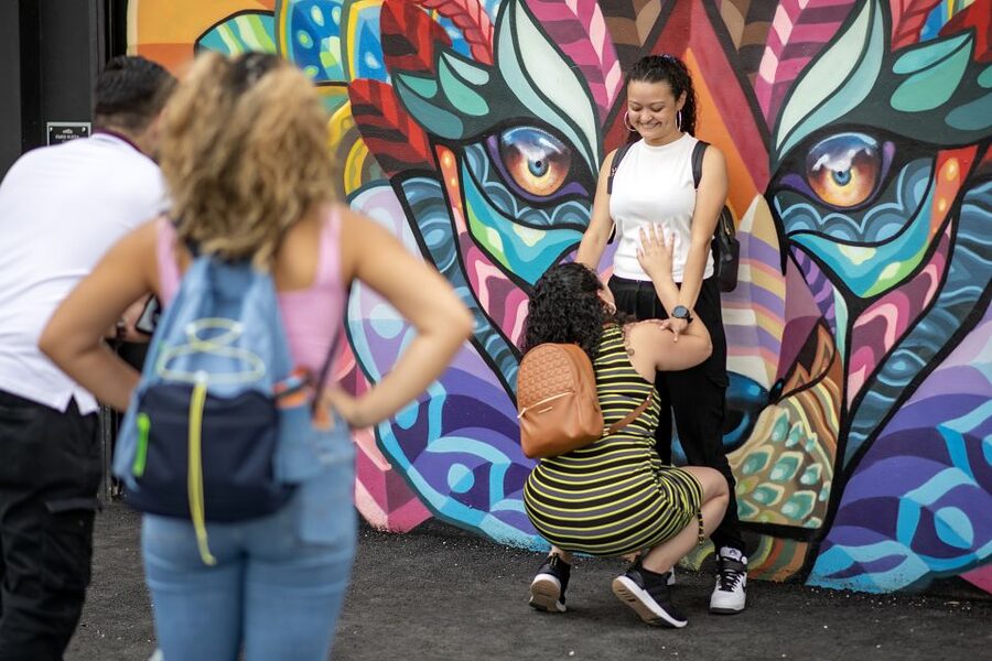 Miami: Wynwood Walls Skip-the-Line Ticket - Wynwood Walls and the neighborhood effect: why this area matters