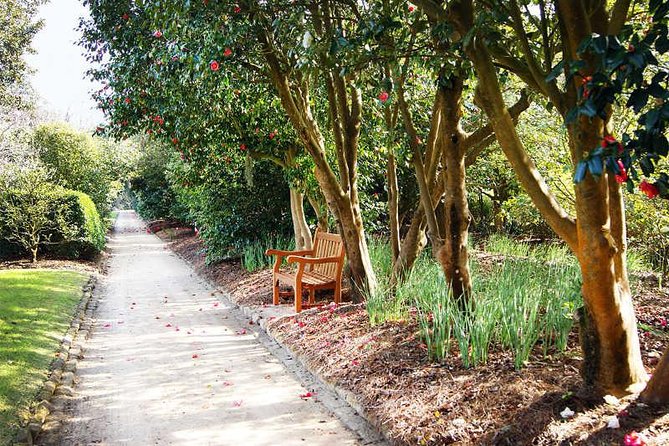 Middleton Place Admission with Self Guided Tour and Lunch - House Museum Tour: the 45-minute part you should treat as the spine of the visit