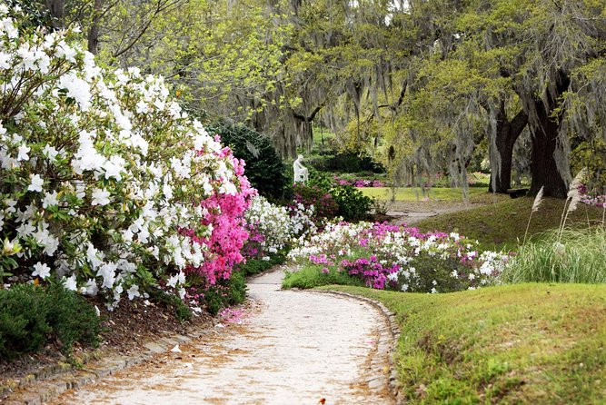 Middleton Place Admission with Self Guided Tour and Lunch - Stable Yards: the animal stop that adds energy to the day