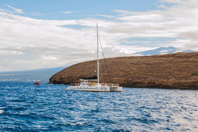 Molokini and Turtle Arches Snorkeling Trip from Ma'alaea Harbor - Snorkel Gear Rules, Reef-Safe Sunscreen, and Safety That Feels Practical