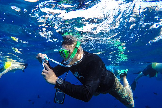 Molokini and Turtle Arches Snorkeling Trip from Ma'alaea Harbor - Value for $209.99: What You’re Paying For, and When It’s Worth It