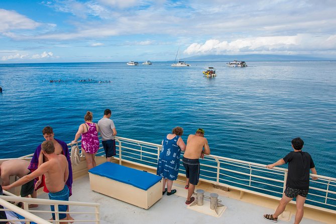 Molokini and Turtle Arches Snorkeling Trip from Ma'alaea Harbor - Who This Trip Suits Best on Maui