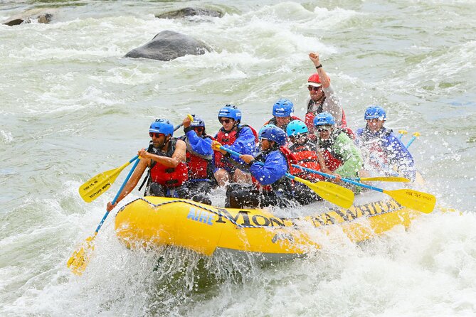Montana Whitewater Half Day Raft Trip - Yellowstone River - Why the Yellowstone River trip from Gardiner feels like the real thing