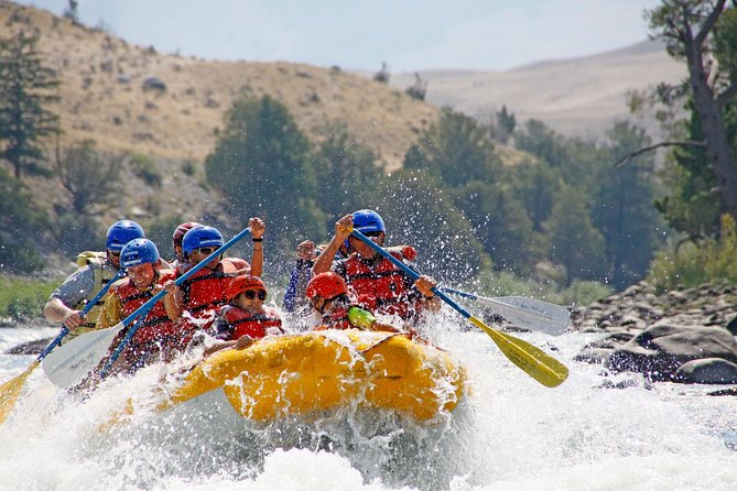 Montana Whitewater Half Day Raft Trip - Yellowstone River - Who this raft trip suits best, and who should pass