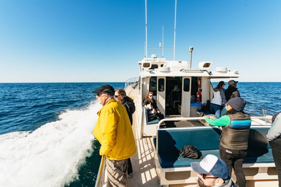 Monterey Bay: Whale Watching Tour - Monterey Bay National Marine Sanctuary: why whales show up close