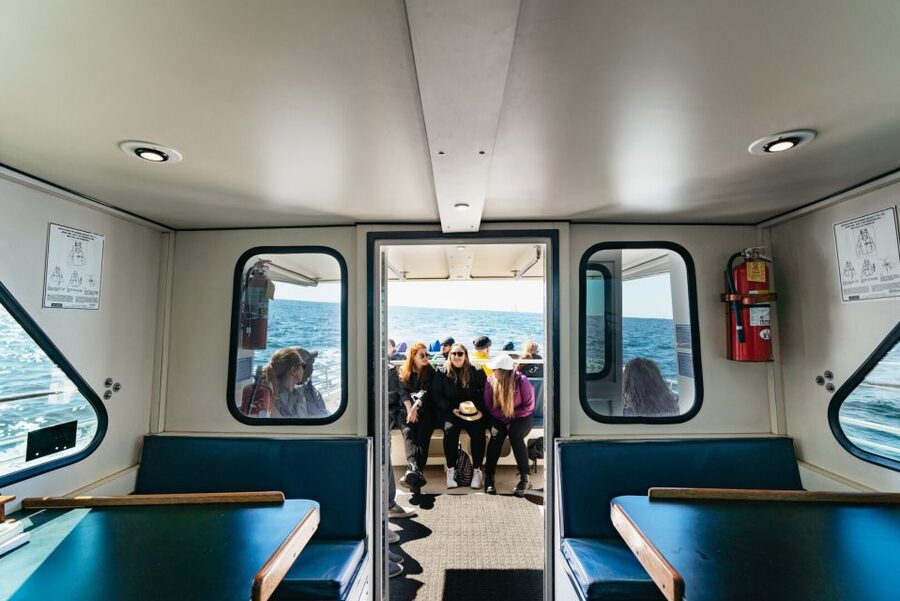 Monterey Bay: Whale Watching Tour - Feeding whales in summer and fall, migration focus in winter