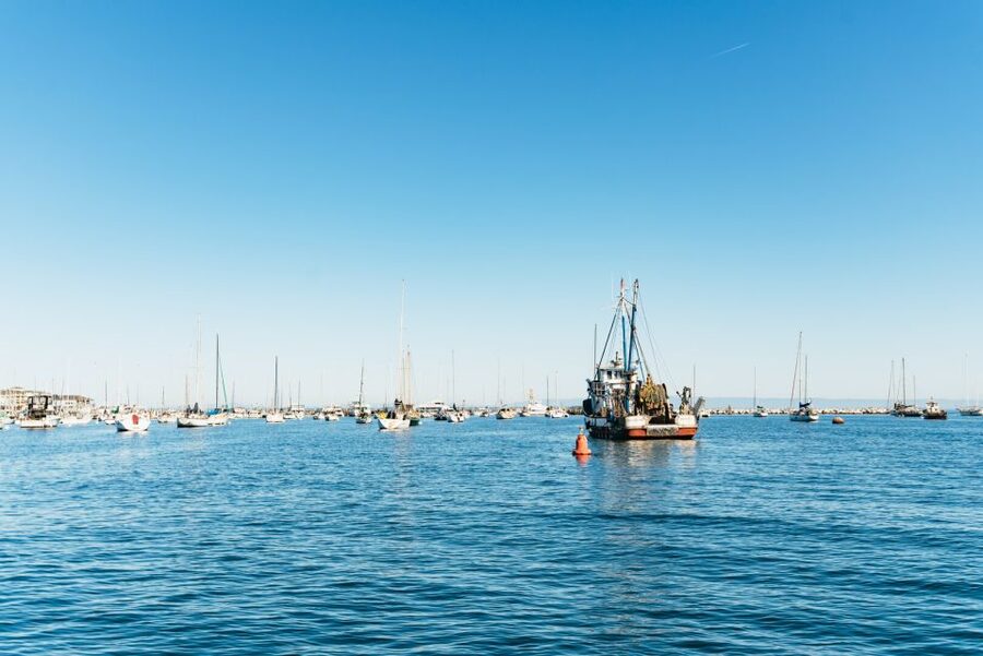 Monterey Bay: Whale Watching Tour - Onboard biologist talk, guides like Isaiah, and how the crew keeps you comfortable