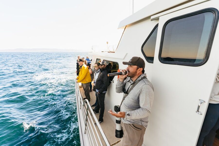 Monterey Bay: Whale Watching Tour - Timing, what to wear, and how to maximize your odds