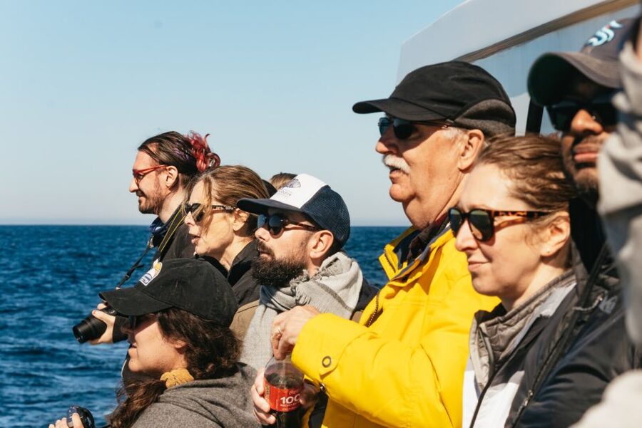 Monterey Bay: Whale Watching Tour - Who should book, and who should skip this one?