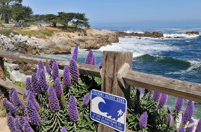 Monterey, Carmel and 17-Mile Drive: Full Day Tour from SF - 17-Mile Drive: Pebble Beach views, Lone Cypress, and Bird Rock