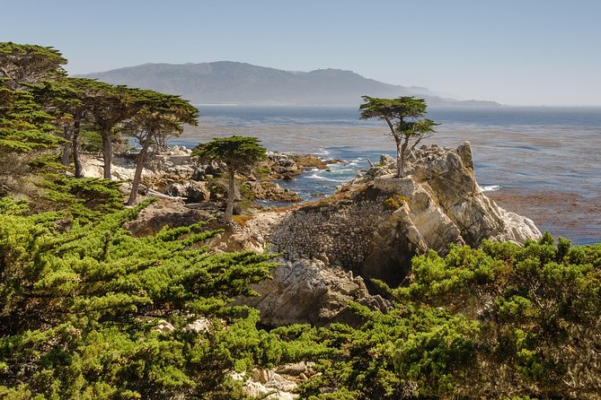 Monterey, Carmel and 17-Mile Drive: Full Day Tour from SF - Carmel-by-the-Sea and Carmel Plaza: shopping time with coastal undertones