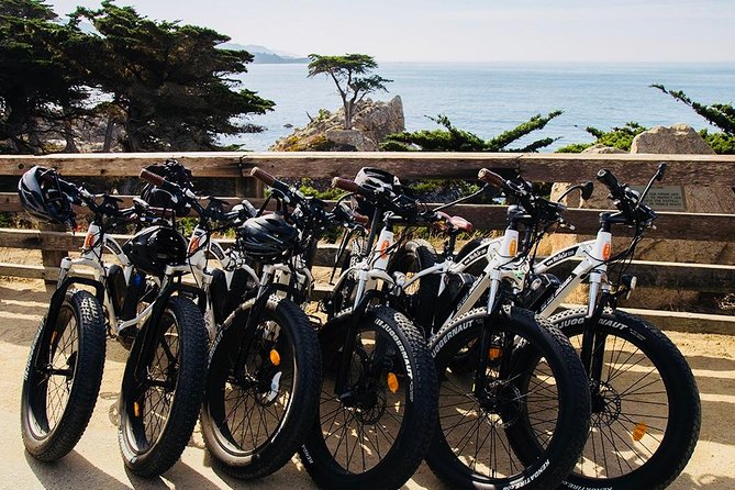 Monterey's 17 Mile Drive Guided Electric Bike Tour, 3 hr - Lone Cypress and the Pebble Beach icons you actually came for