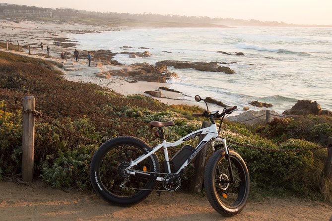 Monterey's 17 Mile Drive Guided Electric Bike Tour, 3 hr - Price and value: does $59 make sense for 3 hours?