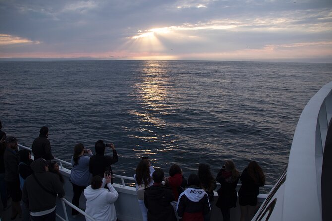 Monterey Whale Watching Tour - Where the cruise starts: Fisherman’s Wharf and a straightforward route