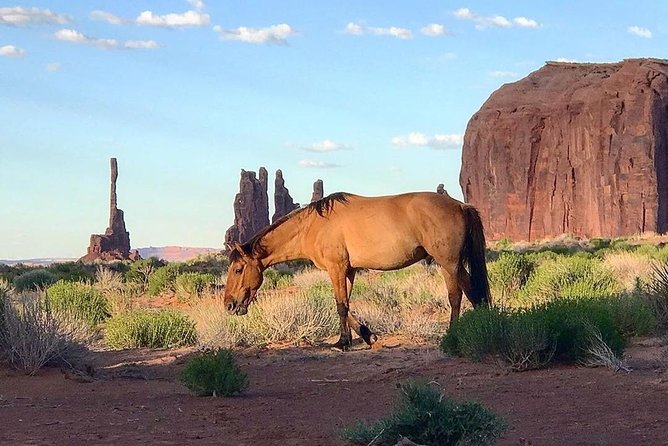 Monument Valley Group Tour - 3 Hours - Navajo Spirit Tours - Vehicle choice and comfort: open-air views vs enclosed requests