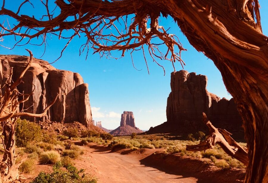 Monument Valley: Highlights Tour with Backcountry Access - Vehicle and comfort: open-air safari vs smaller SUV