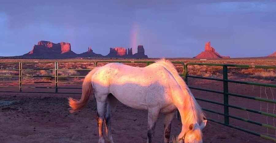 Monument Valley: Horseback Adventure Tour - How you get matched with the right horse (even if you’re nervous)