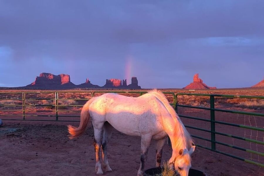 Monument Valley: Horseback Adventure Tour - Eagle Mesa to the Two Mittens, why the views feel closer on a mount