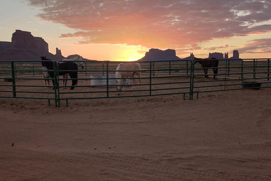 Monument Valley: Horseback Adventure Tour - How the guides make safety and comfort feel normal