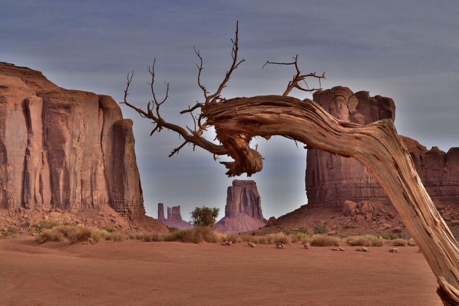 Monument Valley: Scenic 1.5-Hour Tour - Price and Value: What You Get for $65
