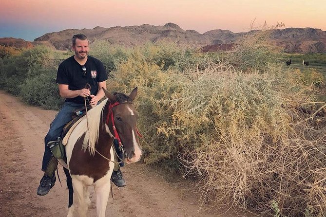 Morning Horseback Ride with Breakfast from Las Vegas - Saddling Up: What the Ride Feels Like for Beginners and Regular Riders